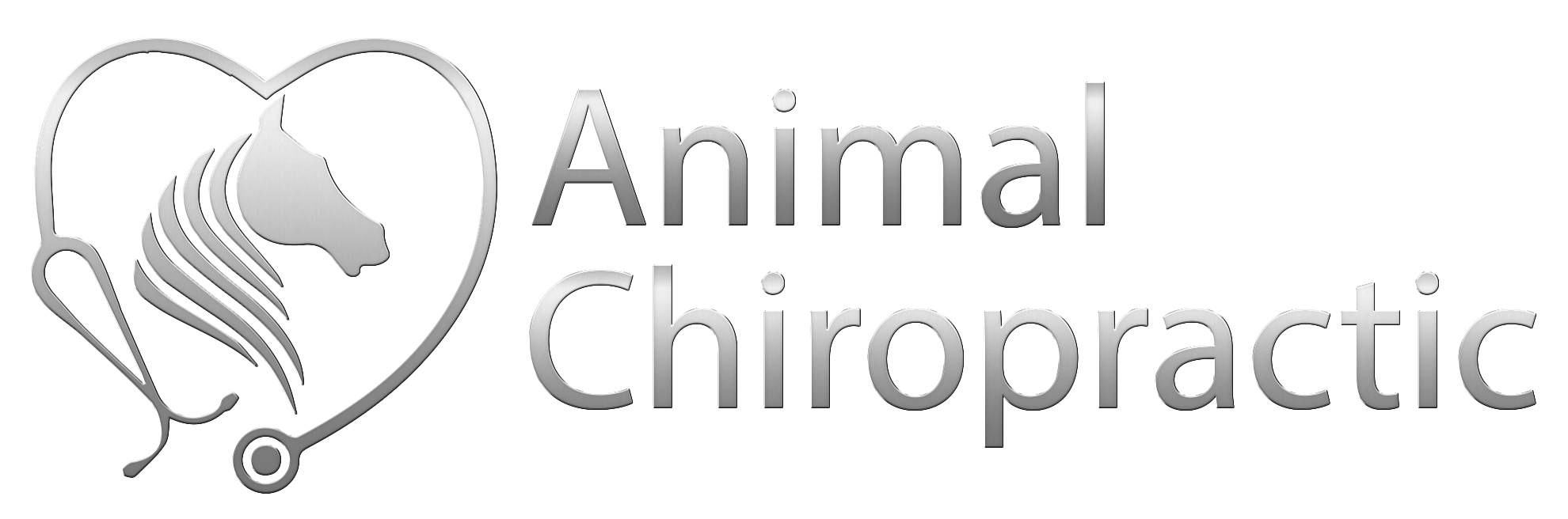 Animal Chiropractic